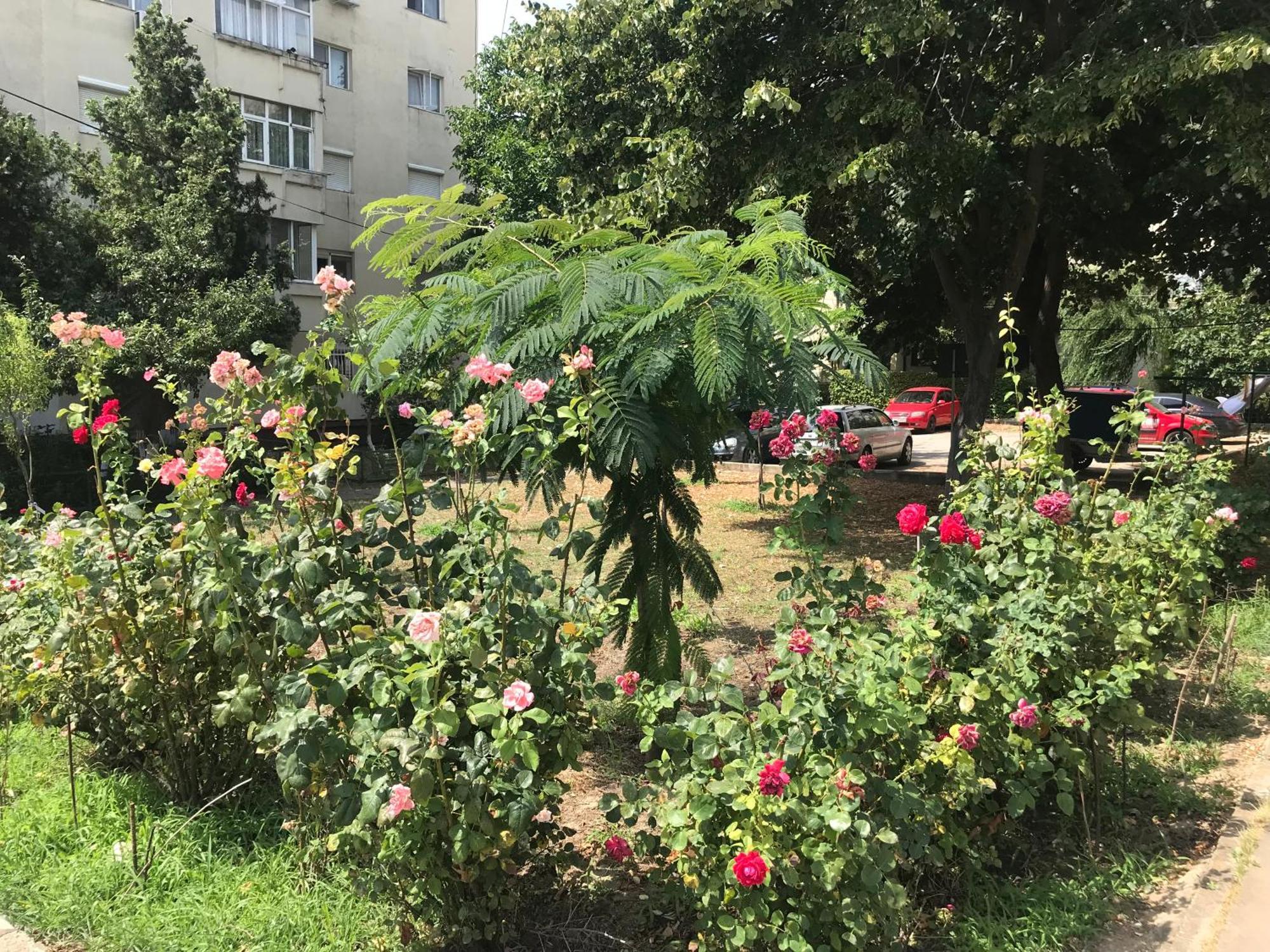 Apartament Langa Plaja Diana Мангалия Екстериор снимка