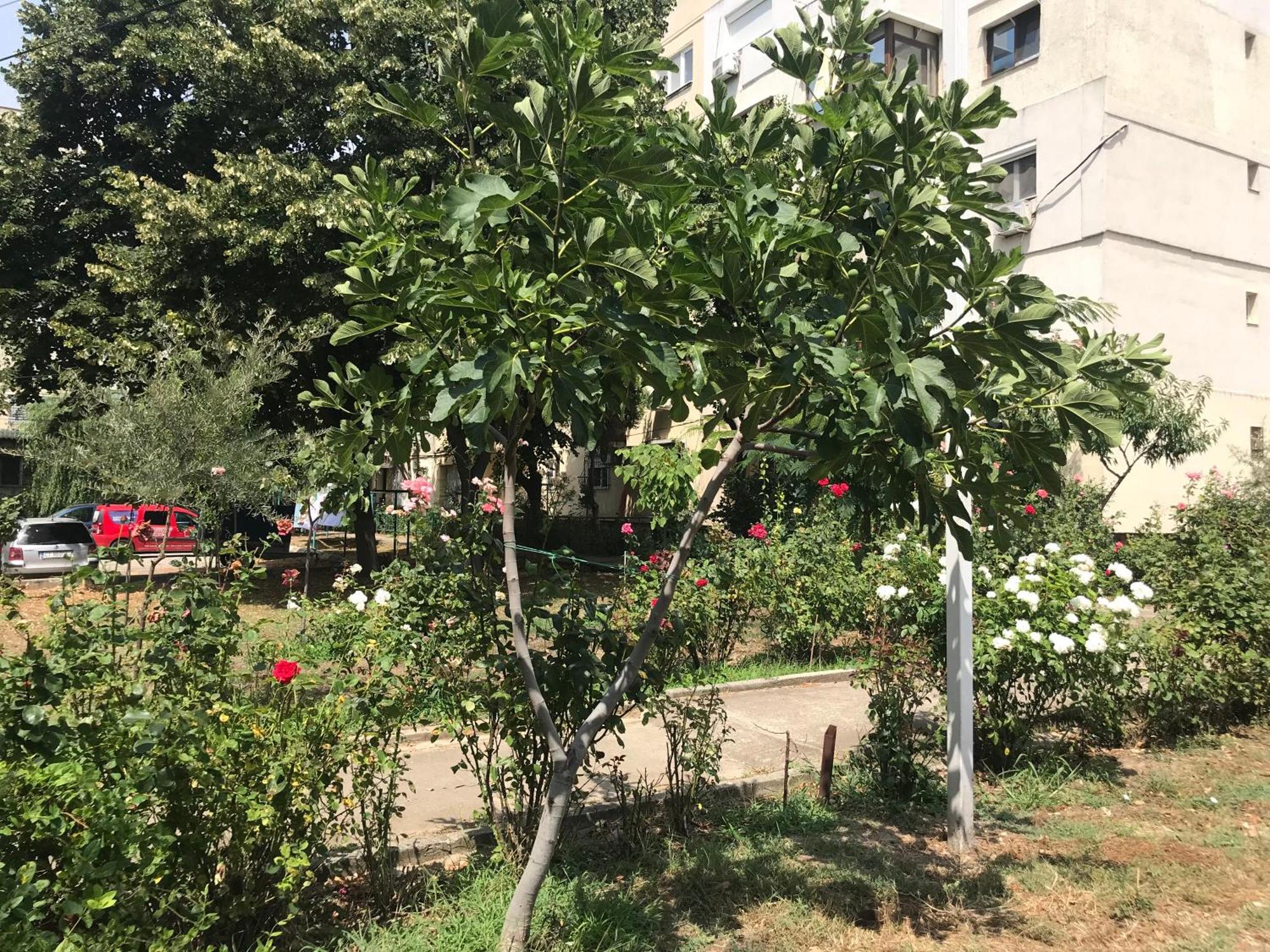 Apartament Langa Plaja Diana Мангалия Екстериор снимка
